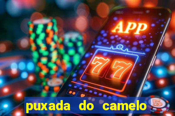 puxada do camelo jogo do bicho